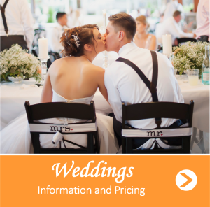 Wedding Pricing for Web